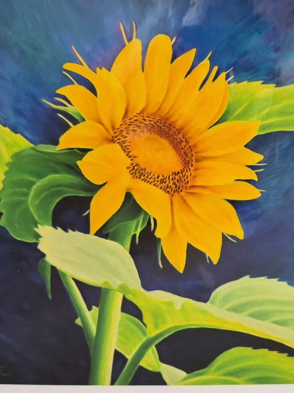 Original Painting Prints by R. Saint